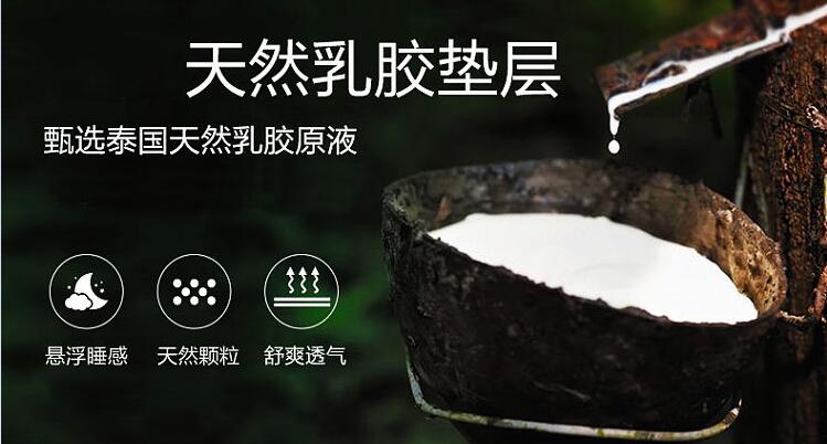 天然乳胶层